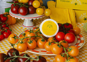 Tomato Vine Refill (Set of 3)