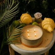 Citronella Outdoor Candle Refill (Grand Size)