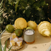 Citronella Refillable Candle (Petite Size)