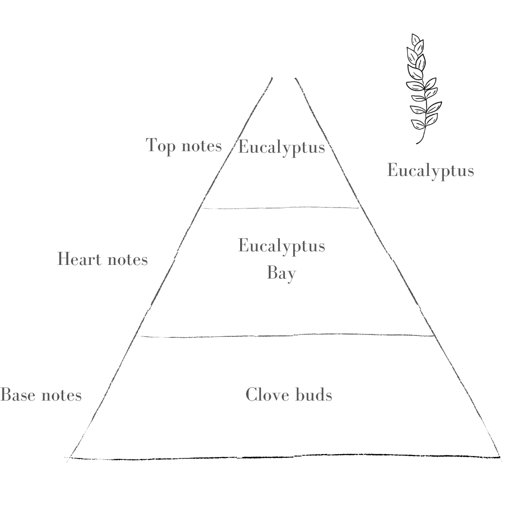 The Sage Diffuser