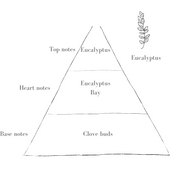 The Sage Diffuser