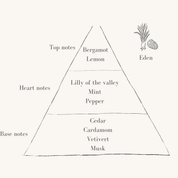 Eden Candle Refill (Standard Size)