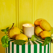 Eden Refillable Candle (Standard Size)