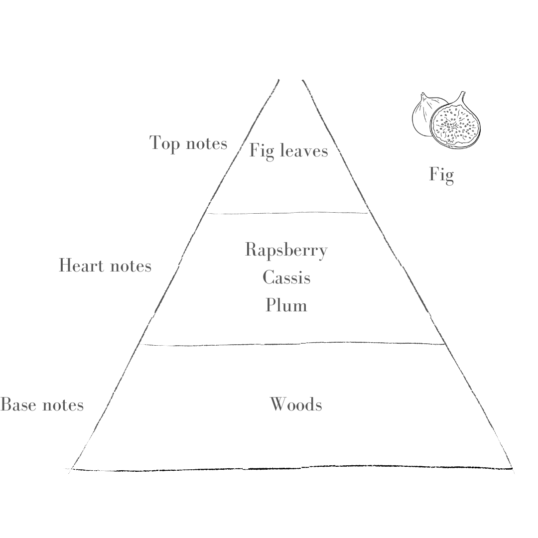 Fig Diffuser Refill