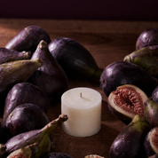 Fig Refillable Candle (Petite Size)