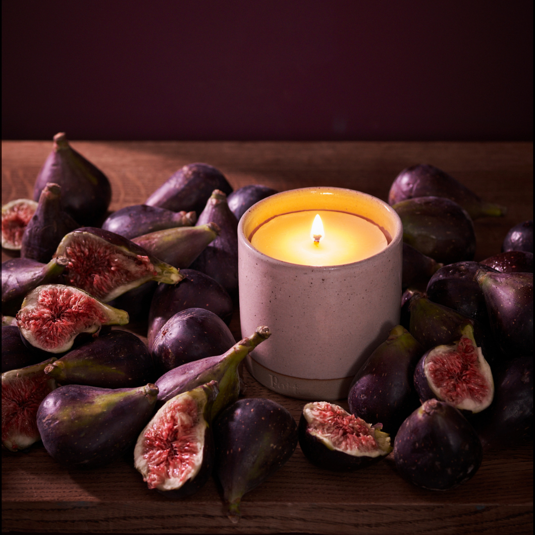 Fig Refillable Candle (Standard Size)