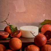 Orangery Candle Refill (Grand Size)