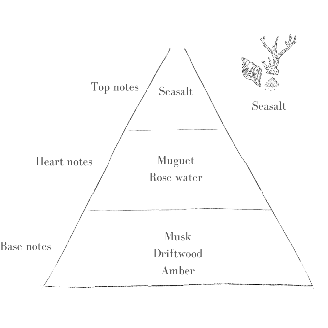 The Ocean Diffuser
