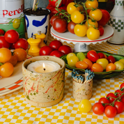 Tomato Vine Refillable Candle Starter Pack (Standard Size)