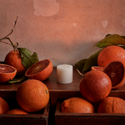 Orangery Candle Refill (Petite Size)